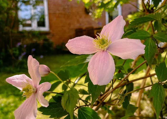Zeitweise * Bunsdorf